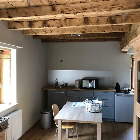 Apartamento Domaine Des Dutreve Saint-Etienne-des-Oullieres Exterior foto