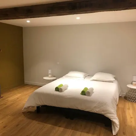 Apartamento Domaine Des Dutreve Saint-Etienne-des-Oullieres Exterior foto